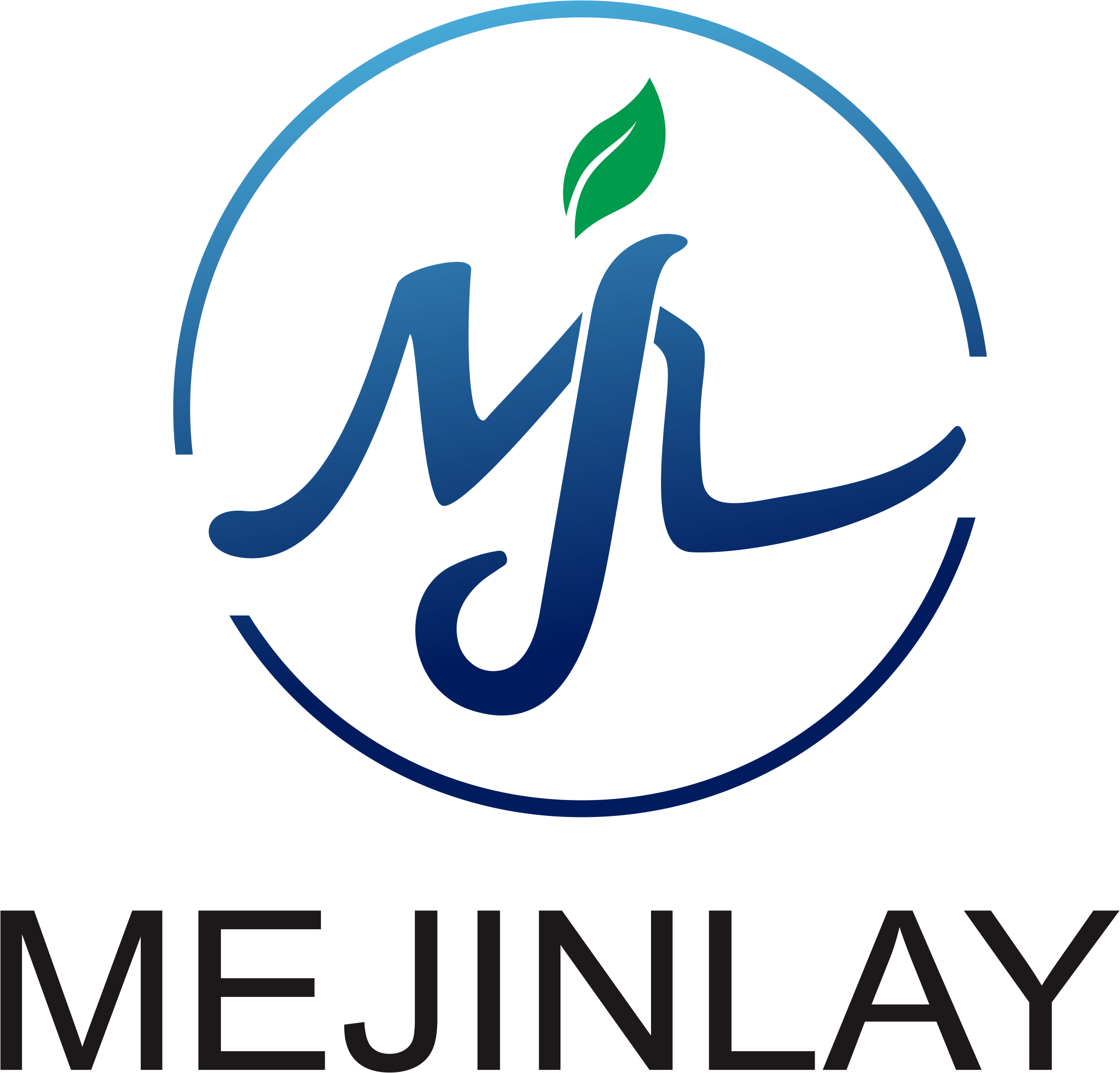 Guangzhou Mejinlay Technology Co., Ltd.