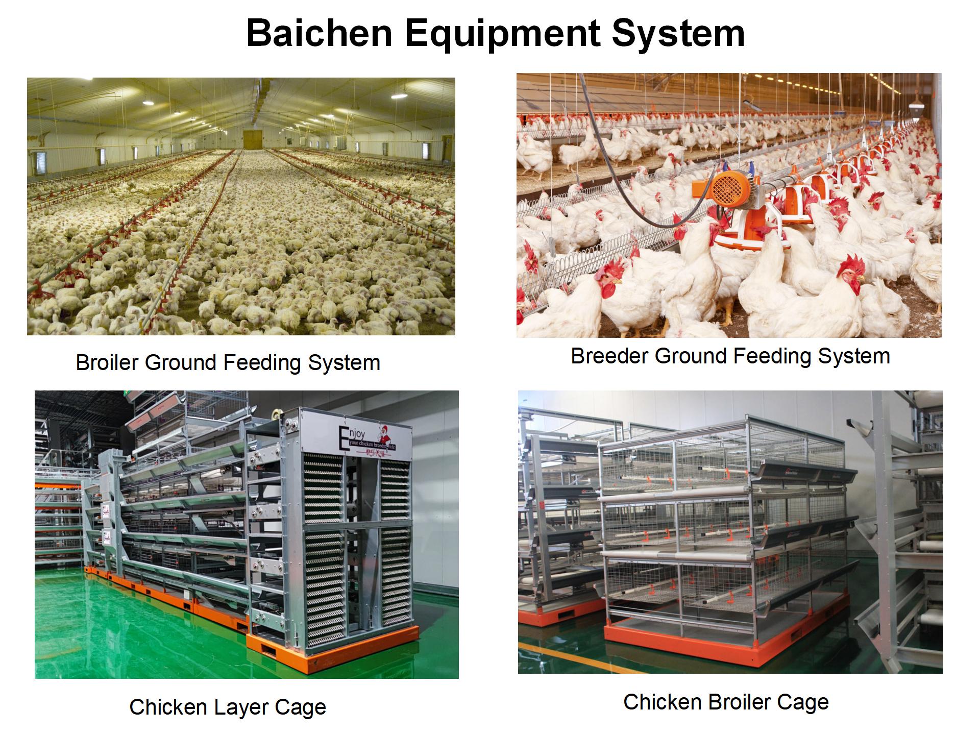 Floor Broiler Pan Poultry Feeder Drinker Hot Gavanized Hopper