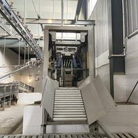 Projet clé en main Équipement d'abattage de porcs Ligne de production de porcs en abattoir pour abattoir de porcs