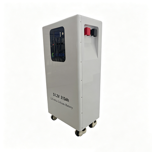 Diseño que Ahorra Espacio, Almacenamiento de Energía Doméstico, 314 Ah, 16 kWh, Protección Contra Sobretensiones, Ruedas Bloqueables, Paquete de Baterías de Litio Solar que Ahorra Espacio - Product Image 4