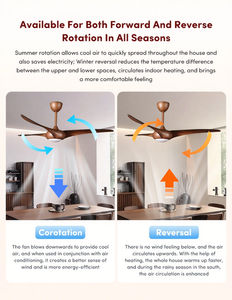 Moderne Indoor Home Hotel Decoratieve Led Dimbare Geluidsarme 52-Inch Dc Motor Abs 3 Blades Afstandsbediening Plafondventilator 5 Jaar - Product Image 3