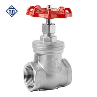 Válvula de Compuerta Roscada de Acero Inoxidable con Extremos NPT/BSP, Cuerpo CF8/CF8M, Operación Manual con Volante