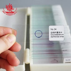 Diapositivas de laboratorio Flagellum Smear Gram Dyeing 50 Kinds Kit Hongos y células microbianas Diapositivas de biología Película Vidrio Bacterias Diapositivas preparadas - Product Image 6