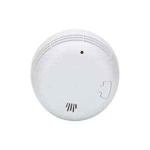 CE En alarm asap asap rumah pintar, detektor asap jalan ganda untuk keamanan rumah