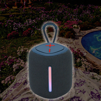 TG699 pour haut-parleur subwoofer, éclairage d'ambiance LED RGB, 15W, plastique, batterie, système audio portable extérieur compact avec sangle