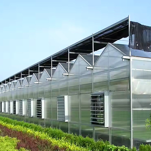 Tuyaux d'arc commerciaux Green House Tunnels multispan rapides Filet d'ombrage en acier galvanisé Cadres de <span class=keywords><strong>serre</strong></span> usagés à vendre - Product Image 6