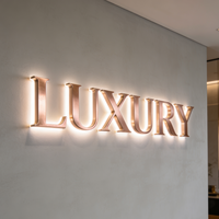 Lettres en relief 3D lumineuses personnalisées avec rétroéclairage LED, enseignes lumineuses pour les entreprises, les magasins, les parcs - Acier inoxydable et acrylique
