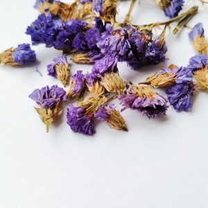 100% fiori secchi naturali/erbe/sapore del <span class=keywords><strong>tè</strong></span> non dimenticare di Me per la decorazione/fare candele/gioielli in resina/bombe da bagno - Product Image 1