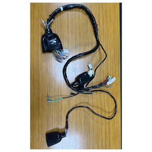 电缆线束制造商工厂 ISO 防水耐用可定制汽车 PBT/PVC 铜芯 2/4/6/8 针连接器 - Product Image 4