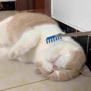 Cat Teaser Extendable Scratch Massager Long Handle Interactive Pet Toy For Cats Boredom Buster Solid Plastic QW2745 - Product Image 3