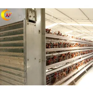 Équipement de volaille Cages d'élevage de volailles pondeuses 10000 Cages de ponte de poulets pour les fermes du Kenya