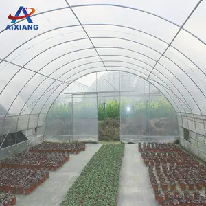 Pellicola Multi-campata in policarbonato finestra del giardino tunnel serra agricoltura con sistema di irrigazione green house kit