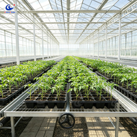 Table de propagation certifiée ISO CE Chenchao avec lit de semis en treillis soudé et table de culture modulaire roulante pour herbes médicinales