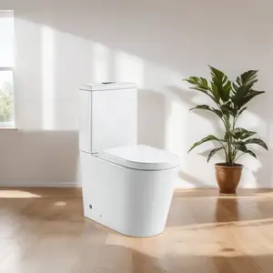 Fornecedores de banheiro inteligente de uma peça para mijar