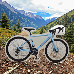 Peu coûteux 700CL sport filature <span class=keywords><strong>course</strong></span> Cargo engrenage fixe poche Cargo descente gravier <span class=keywords><strong>Trek</strong></span> ville Quad Pit Road Dirt Bikes vélo - Product Image 2