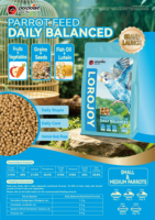 Nourriture quotidienne équilibrée pour oiseaux à base de céréales riches en protéines Parrot, sac de 500 g pour toutes les étapes de vie