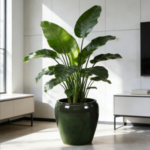 Grands pots <span class=keywords><strong>de</strong></span> jardin en céramique d'extérieur, contenants décoratifs pour plantes pour patio, <span class=keywords><strong>cour</strong></span>, balcon - Product Image 4