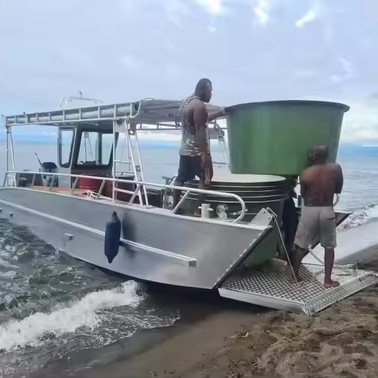Small Transport Work Boat 6m 20ft