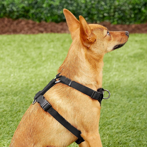 Neues Design No Pull Luxus Haustier Hunde geschirr Hund Großhandel Hunde geschirr maßge schneiderte Logo Hunde geschirr Hunde westen - Product Image 4