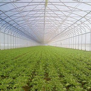 Serre arquée Poly Tunnel Green House Serres agricoles Vente d'occasion - Product Image 5