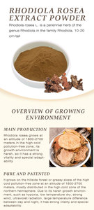 Poudre de salidroside de haute qualité <span class=keywords><strong>Rhodiola</strong></span> Rosea poudre d'extrait de racine <span class=keywords><strong>Rhodiola</strong></span> Rosea - Product Image 3