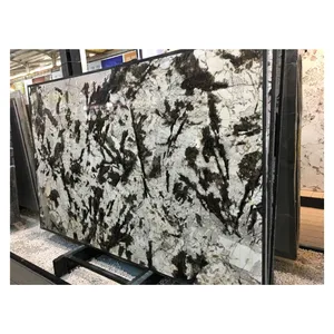 Excellent Quality Splendor White Branco Splendor Granite Slab For Interior Counter Tops Wall Panel