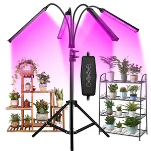 New Arrival Grow Light Full Spectrum 120 Wát Chiều Cao Điều Chỉnh Tripod LED Grow Lights Đối Với Y Tế Nhà Máy Trong 4X4 Lều