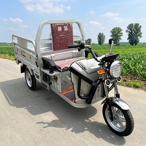 Tricycle utilitaire à 3 roues pour adultes, à batterie, abordable, avec cadre robuste et capacité de charge de 500 kg pour un transport efficace - Product Image 1