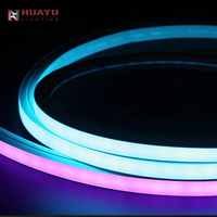 Bande LED néon RGB 1616, expression de couleur pour les contrats de rénovation d'ambiance des salles d'exposition culturelle et des parcs à thème commerciaux