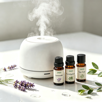 Huiles Essentielles Naturelles de Plantes en Gros à Bas Prix 10ml Huile de Lavande Menthe Poivrée pour Aromathérapie Soins de la Peau Massage Savon Bougie