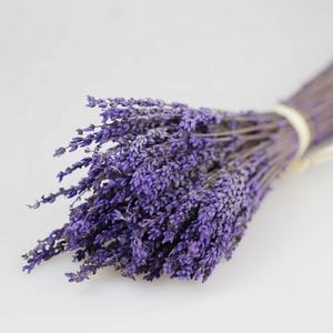 Flores decorativas preservadas <span class=keywords><strong>lavanda</strong></span> flor estabilizada <span class=keywords><strong>lavanda</strong></span> - Product Image 3