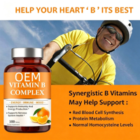 Complexe de Vitamines B en Gros, 100 Comprimés, Énergie, Soutien Immunitaire, Santé du Système Nerveux, Marque Privée OEM