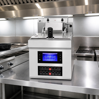 Friteuse professionnelle 8L en acier inoxydable SUS201, cuiseur à huile, friteuse à induction profonde, puissance 3KW