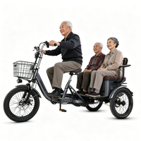 Tricycle électrique pliable pour personnes âgées et enfants, 2 places, moteur 48V 650W, panier avant/arrière, trike électrique de loisirs pour passagers