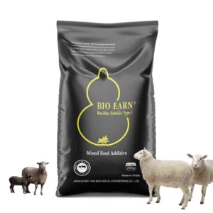 Feed additives that can improve meat quality for ruminants such as cattle bull cow calf mutton sheep ram ewe goat lamb