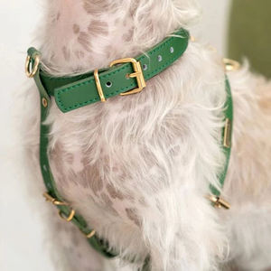 Harnais pour chien Fullto Premium en cuir PU rouge réglable pour des promenades confortables - Product Image 5