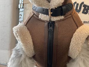 Roupas para animais de estimação XS-XXL Outono e Inverno, roupas para cães, roupas de couro PU de veludo, jaqueta para animais de estimação - Product Image 4