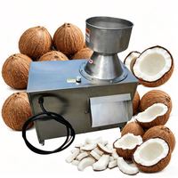 Commerciële grootschalige fruitvermaalmachine, kokosvleesvermaler voor gemberwortel, groenten en andere fruit en groenten