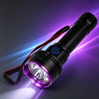 Lampe torche UV LED rechargeable haute puissance 30W 365nm 395nm, corps en alliage d'aluminium robuste, IP65, charge USB, noire, pour le camping