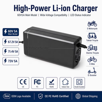 Pengisi Daya Lithium Cerdas Tahan Lama Berkualitas Tinggi 60V5A 73V75.6V79.8V Pengisi Daya Baterai Lifepo4 Pengisi Daya Sepeda Motor Listrik Skuter Listrik