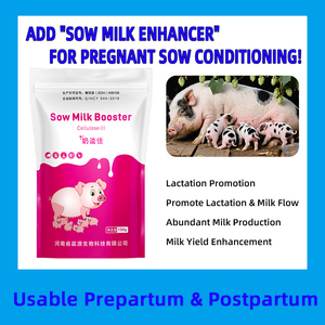 Aditivo para la Alimentación de Cerdas CY Sow Milk Booster, Estimula el Flujo de Leche, Mejora la Calidad, Previene la <span class=keywords><strong>Mastitis</strong></span>, Promueve la Nutrición y el Crecimiento Saludable - Product Image 3