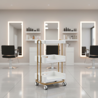 Chariot de beauté de haute qualité, chariot à roulettes pour la beauté, la maison, la chambre, l'esthétique, le maquillage et les soins de la peau