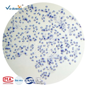 Plant Mitosis & Meiosis Prepared Slides <span class=keywords><strong>Microscope</strong></span> Prepared Slides Prepared Slides Slides Teaching and Researching <span class=keywords><strong>Microscope</strong></span> Meiosis Slides Set - Product Image 3