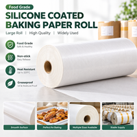 Feuilles jetables double face biodégradables résistantes à la chaleur pour friteuse à air, 100 % pâte de bois vierge, silicone anti-graisse pour pain et sushis