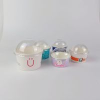 Groothandel 4oz 8oz 16oz Wegwerp Dessert Yoghurt IJs IJsjes Vriesfruit IJs Cup Verpakkingen Bakjes Met Deksel