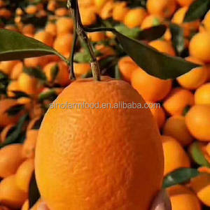 15 kg de <span class=keywords><strong>Naranjas</strong></span> Valencia Frescas y <span class=keywords><strong>Limones</strong></span> de China, Producto Cítrico Premium, 4-5 mm, 4 Meses de Duración - Product Image 4