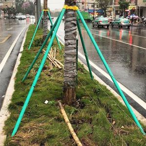 โครงเหล็กชุบสังกะสีสำหรับยึดต้นไม้ ป้องกันลม พร้อมลวดหนาม รองรับน้ำหนักได้ 10.0 กก. ยี่ห้อ Guanyisheng - Product Image 3