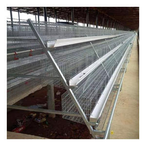 Fabrika kaynağı bir tip <span class=keywords><strong>4</strong></span> katlı 128/160 kuş tavuk yumurta katmanı pil tavuk kafesi - Product Image 4