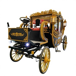 Calèche royale de luxe en acier pour mariages et excursions - Product Image 1