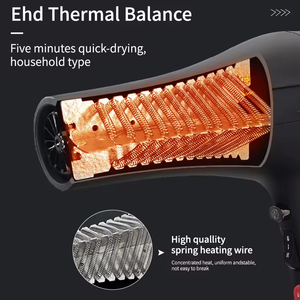 Brand New With High-Speed AC Motor Electric Plastic Concentrator Nozzle Factory Price Salon <strong>Hair</strong> <strong>Dryer</strong> Set - Product Image 3